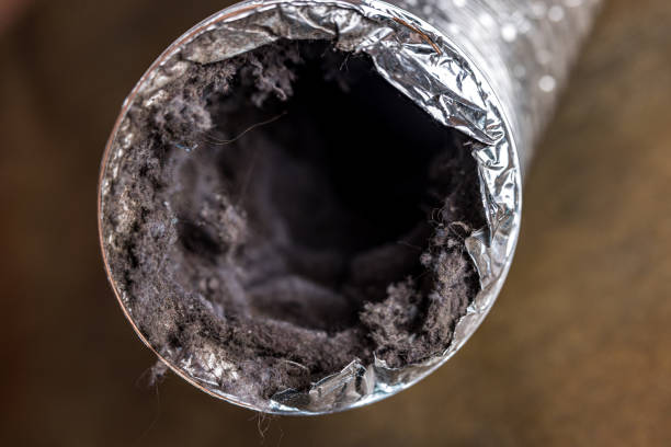 Best Ventilation Cleaning Services  in Tornado, WV