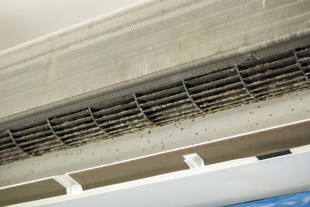 Best HVAC Duct Inspection Services  in Tornado, WV